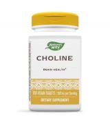 Nature's Way 膽鹼-- 500mg*100錠 - Choline