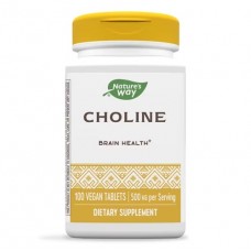 Nature's Way 膽鹼-- 500mg*100錠 - Choline