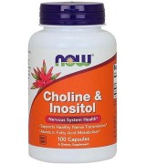 NOW Foods 膽鹼 + 肌醇--500 mg* 100 顆 Choline & Inositol