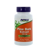  NOW Foods 松樹皮萃取菁華 添加綠茶-- 240mg*90顆素食膠囊~Pine Bark Extract
