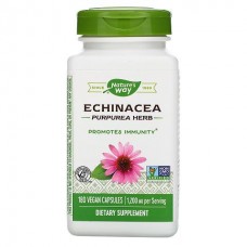 Nature's Way 紫錐花 (紫錐菊) --400mg*180顆 - Echinacea Purpurea Herb