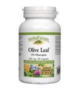 Natural Factors 橄欖葉20倍萃取 500mg* 90 顆 - Olive Leaf